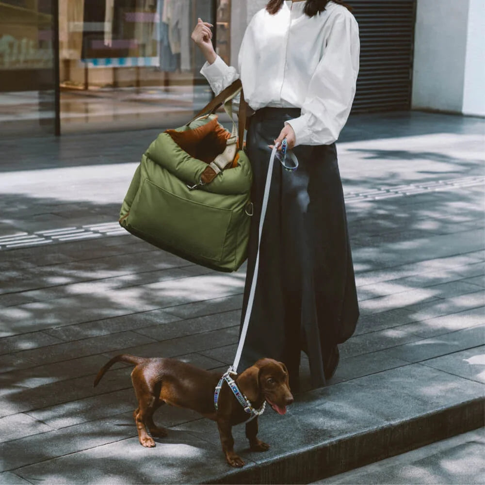 PawCruiser Winter Bag