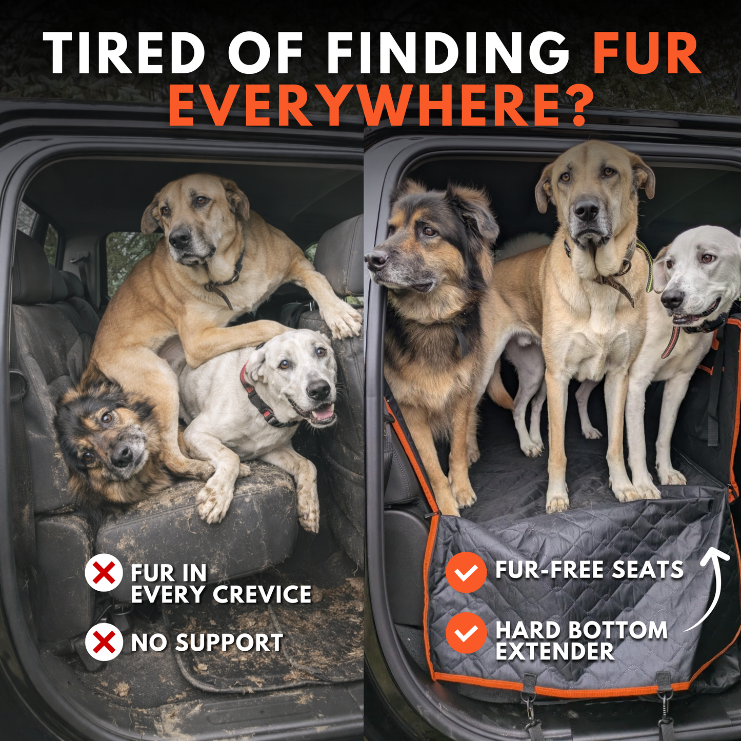 PawCruiser XL