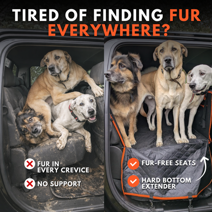 PawCruiser XL