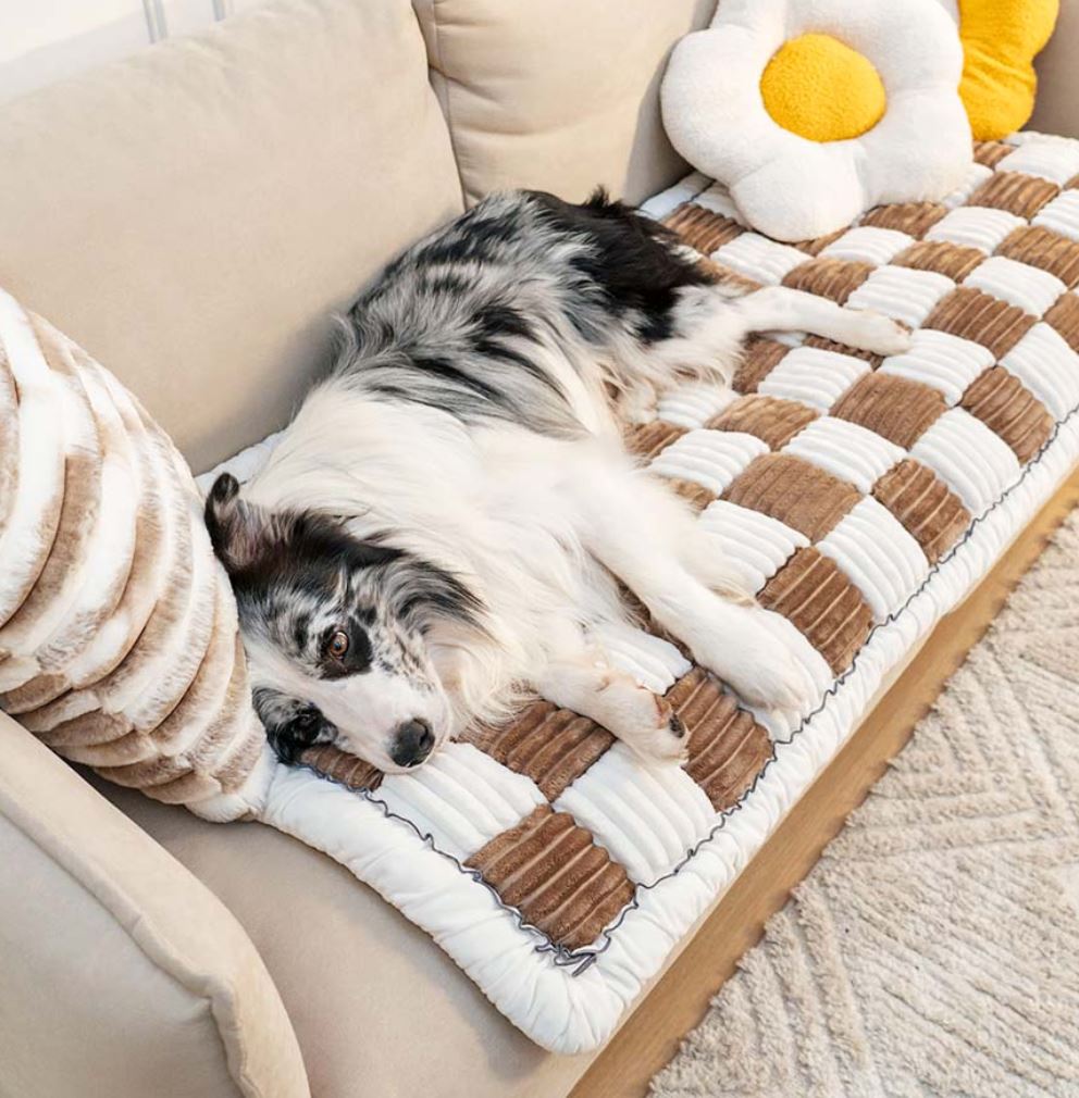 Non-Slip Pup Pad