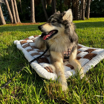 Non-Slip Pup Pad