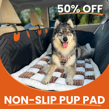 PawCruiser XL