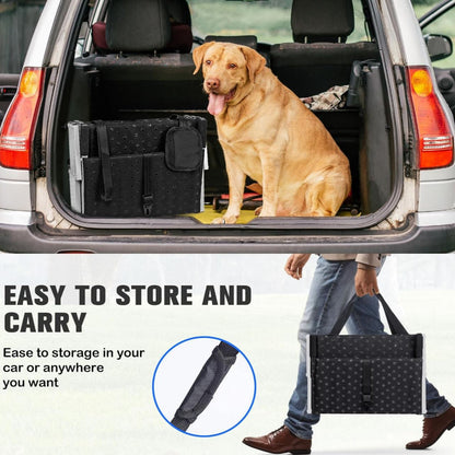 PawStep Portable Ramp