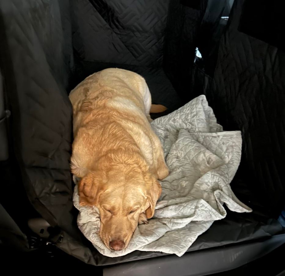 XL Truck Floor Cover